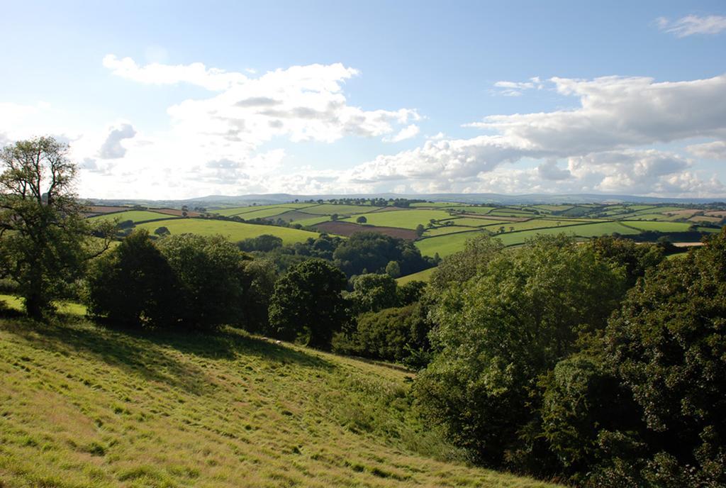 Kerswell Farmhouse トットネス エクステリア 写真