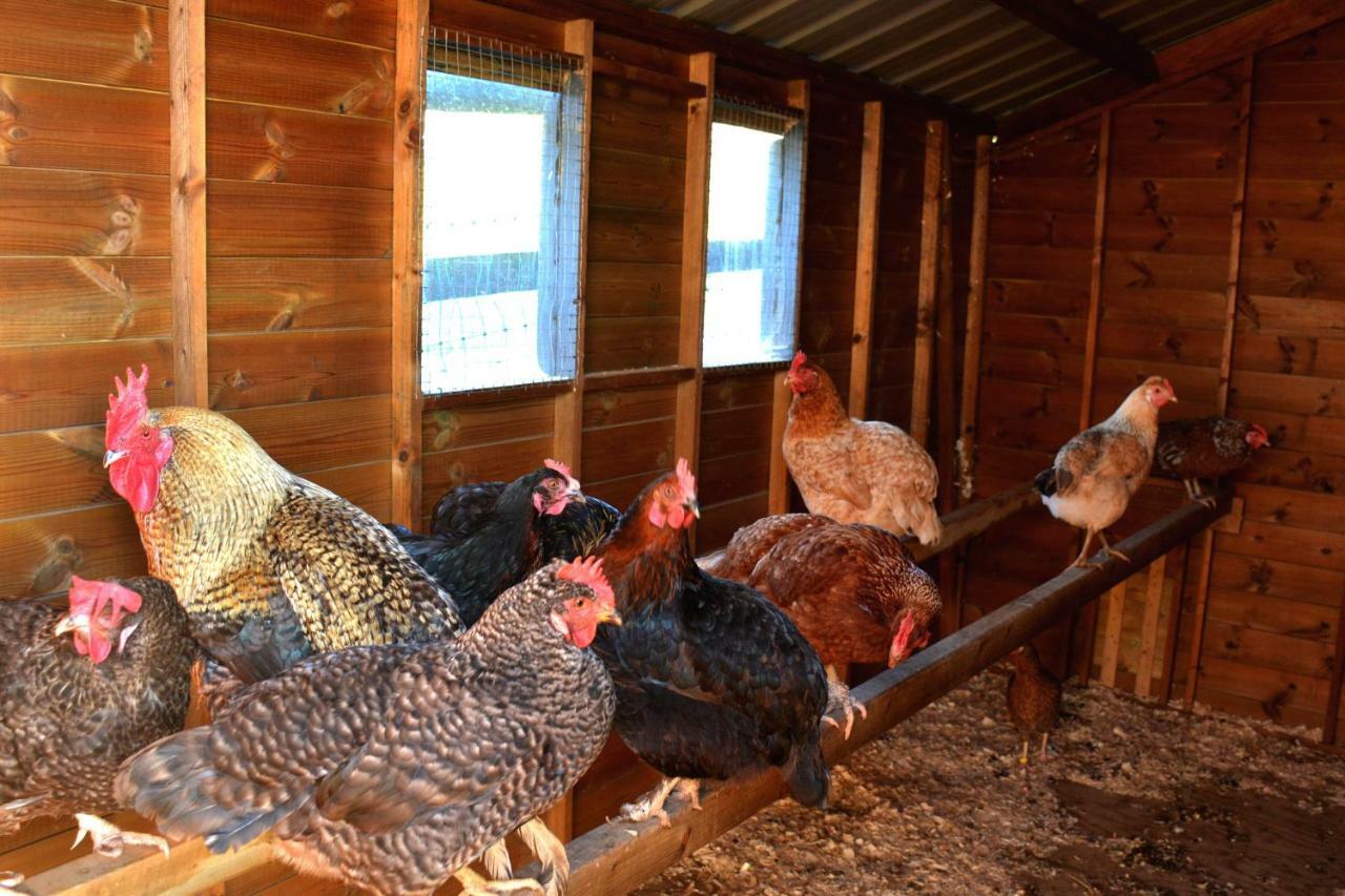 Kerswell Farmhouse トットネス エクステリア 写真